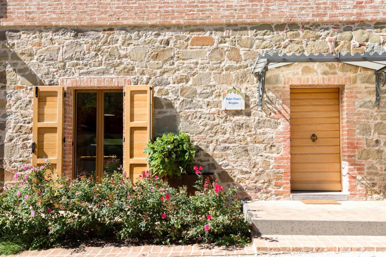 Borgo Giorgione Villa Monteleone dʼOrvieto Buitenkant foto